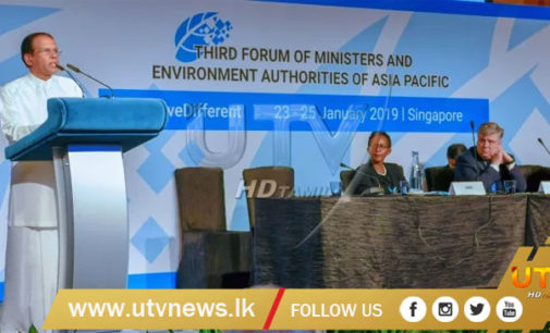 Human activities should not threaten the regeneration capacity of nature – President