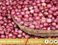 வெங்காய இறக்குமதி மட்டுப்படுத்தல்