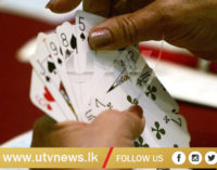 World number one bridge player handed one-year ban for doping
