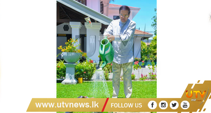 President performs tree planting custom for Sinhala & Tamil News Year