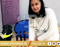 Visually impaired cricket match takes place in Glasgow
