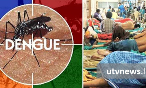 දිස්ත්රික්ක කිහිපයක ඩෙංගු මර්ධන වැඩසටහන්