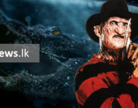 Crawl Director would love to make Nightmare on Elm Street reboot