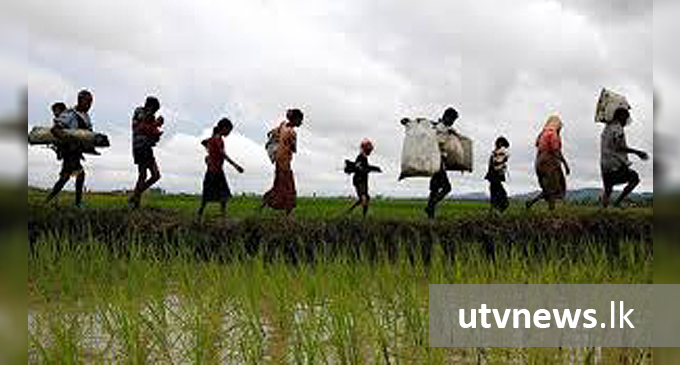 කුඹුරු අක්කර 8000 කට සහන සැලසීමට පියවර
